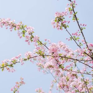 Meet your Posher, June